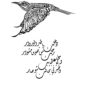Fairuz’s Bird